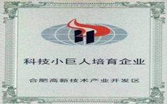 喜讯 乐鱼手机在线登录入口官网入选合肥高新区“科技小巨人”培育企业